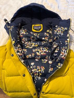 Patagonia women’s bivy hooded vest